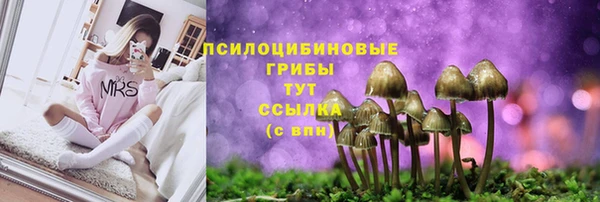 Альфа ПВП Протвино