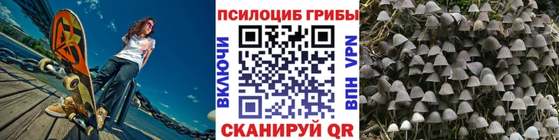 Псилоцибиновые грибы Psilocybine cubensis  что такое наркотик  Малаховка 